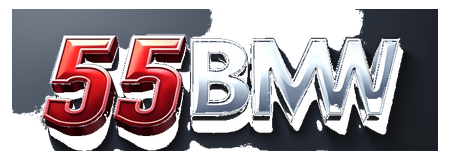 55bmw logo